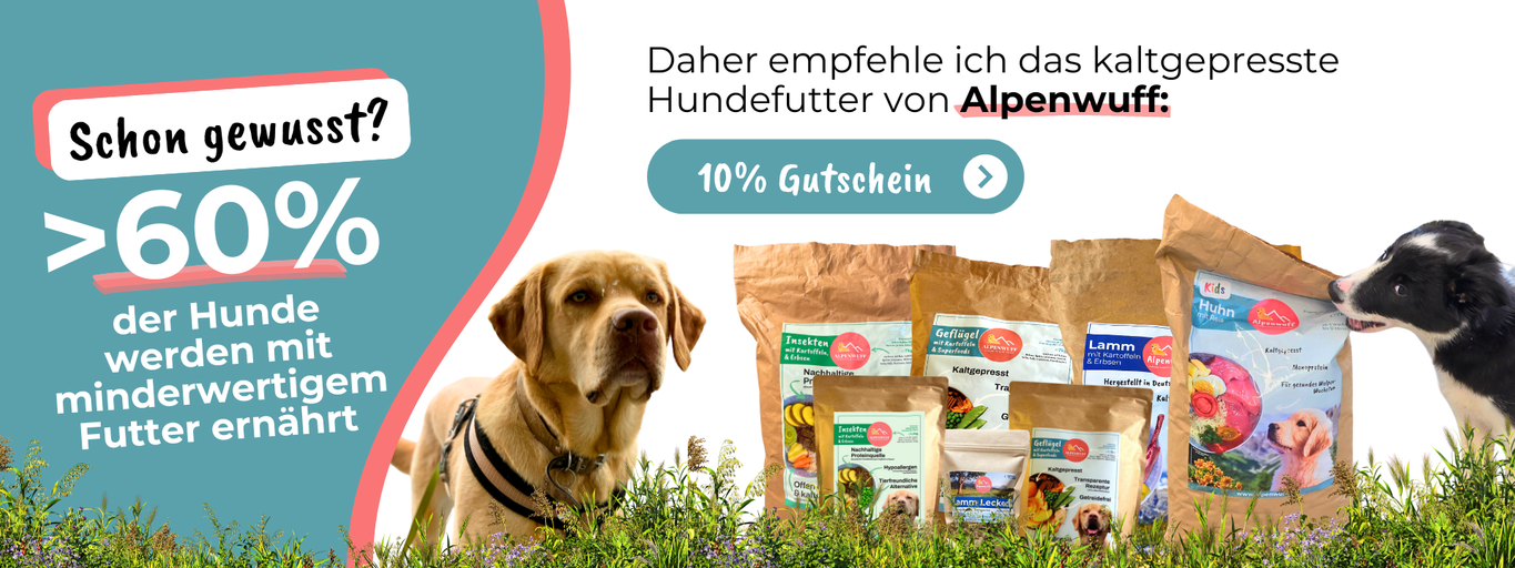 Banner Alpenwuff mit Link für 10% Gutschein